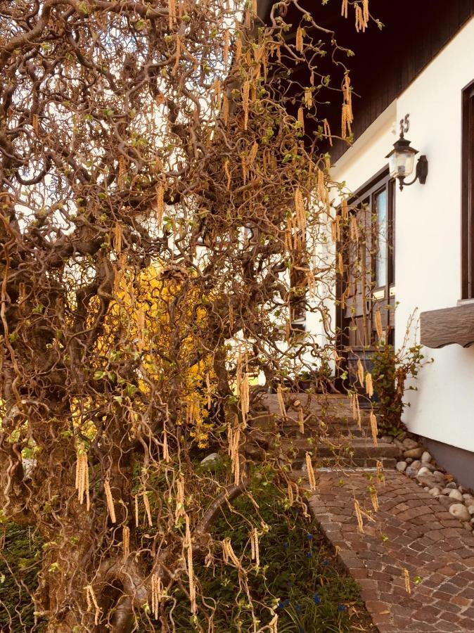 Hegau-Lounge-Bodensee Muhlhausen-Ehingen Luaran gambar